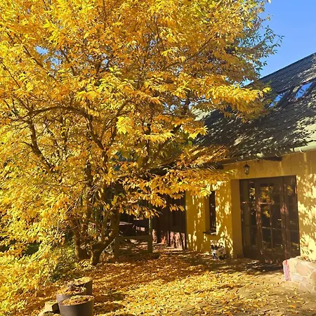 29 Chalet